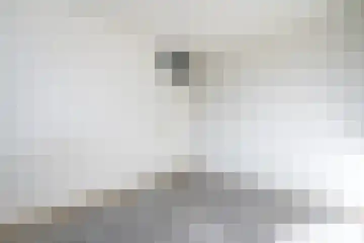 Lancasterdreef 68 Dronten thumbnail 25