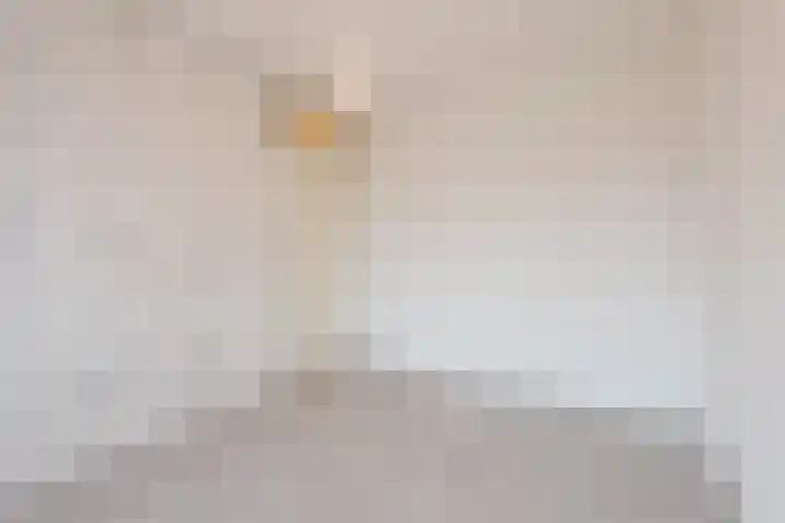 Lancasterdreef 76 Dronten thumbnail 22