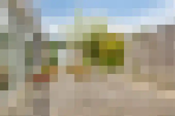 Lancasterdreef 85 Dronten thumbnail 32