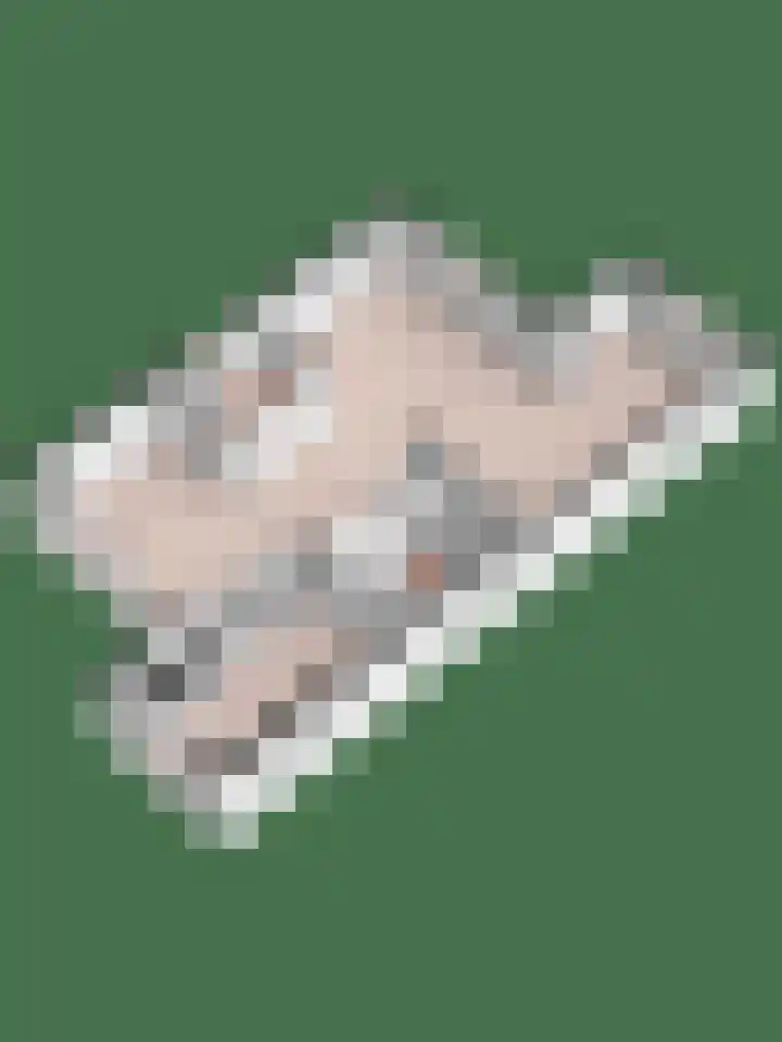 Lancasterdreef 89 Dronten thumbnail 33