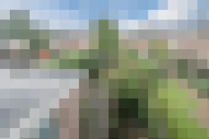 Lancasterdreef 98 Dronten thumbnail 28