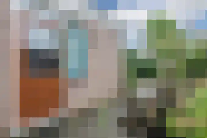 Lancasterdreef 98 Dronten thumbnail 31