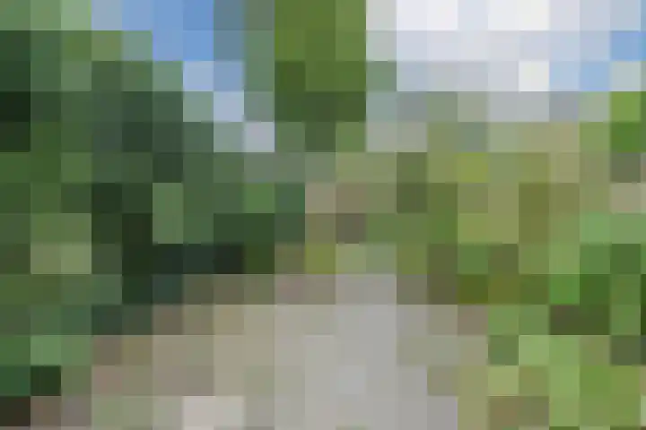 Lancasterdreef 98 Dronten thumbnail 35