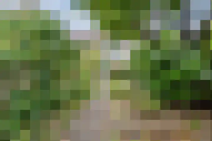 Lancasterdreef 98 Dronten thumbnail 37