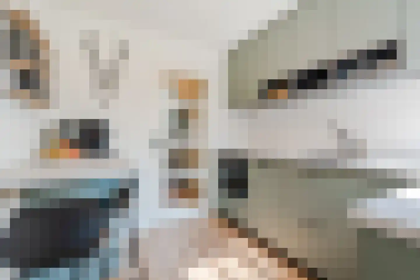 Lanceloetstraat 12 Eindhoven thumbnail 19
