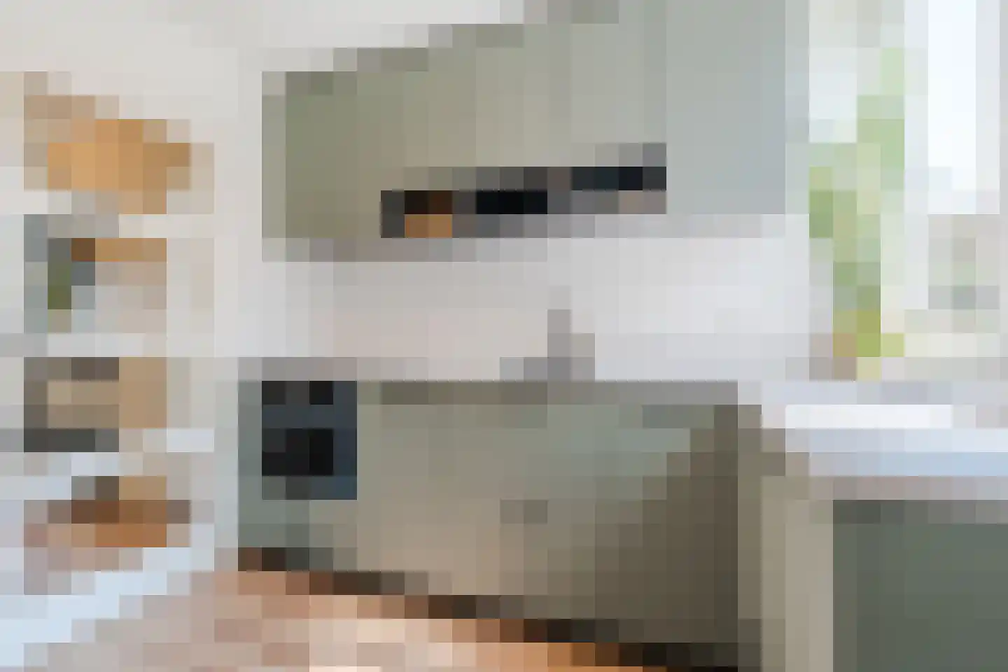 Lanceloetstraat 12 Eindhoven thumbnail 20