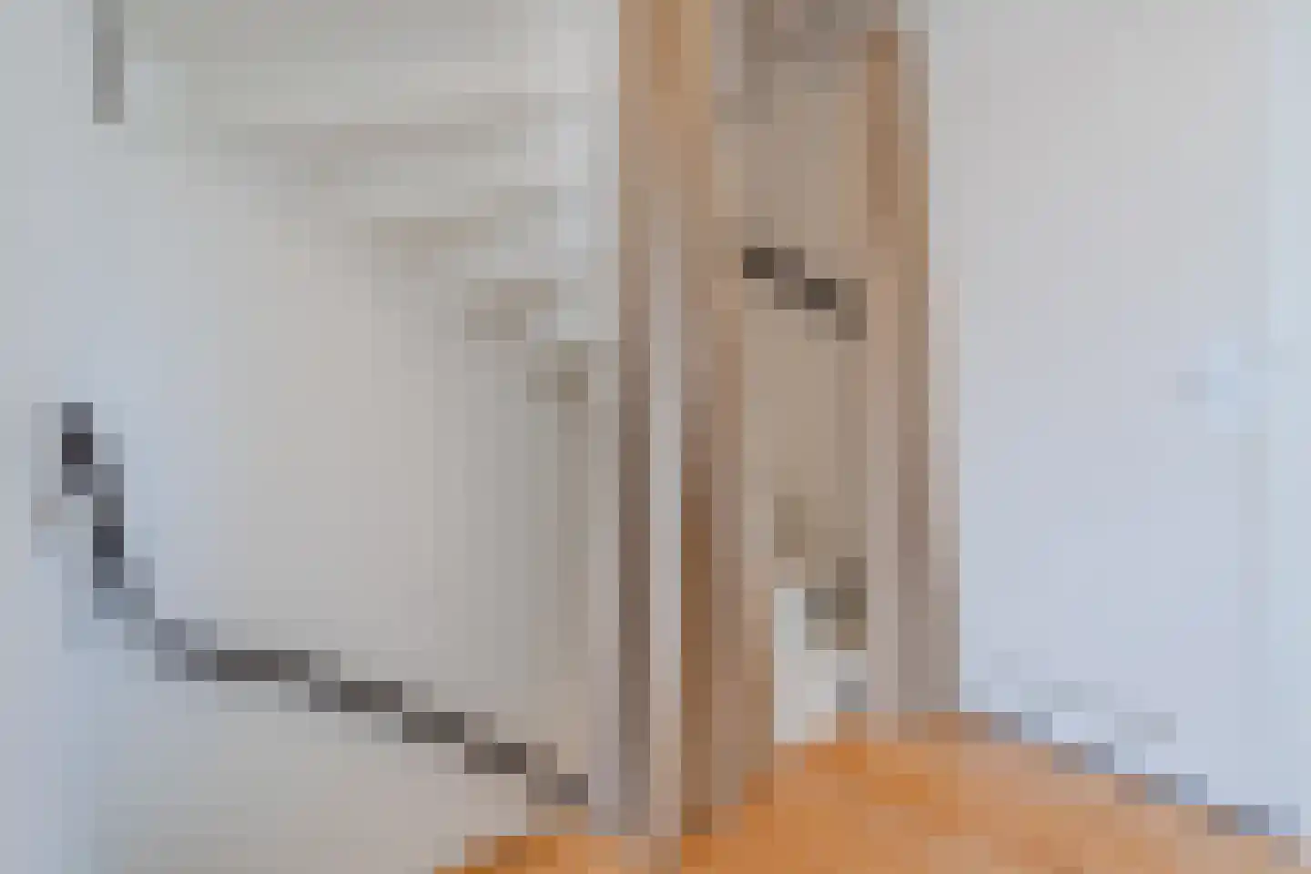Lanceloetstraat 12 Eindhoven thumbnail 30