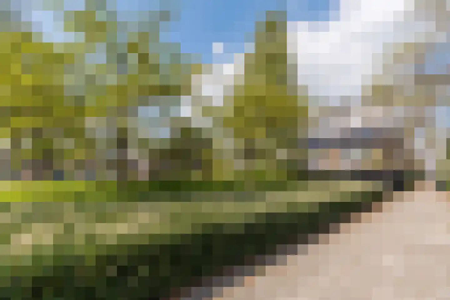 Lanceloetstraat 12 Eindhoven thumbnail 43
