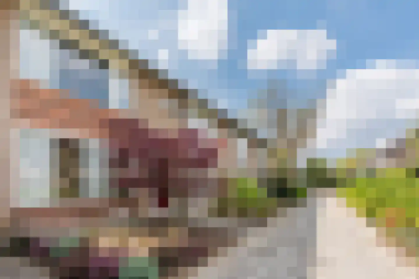 Lanceloetstraat 12 Eindhoven thumbnail 6
