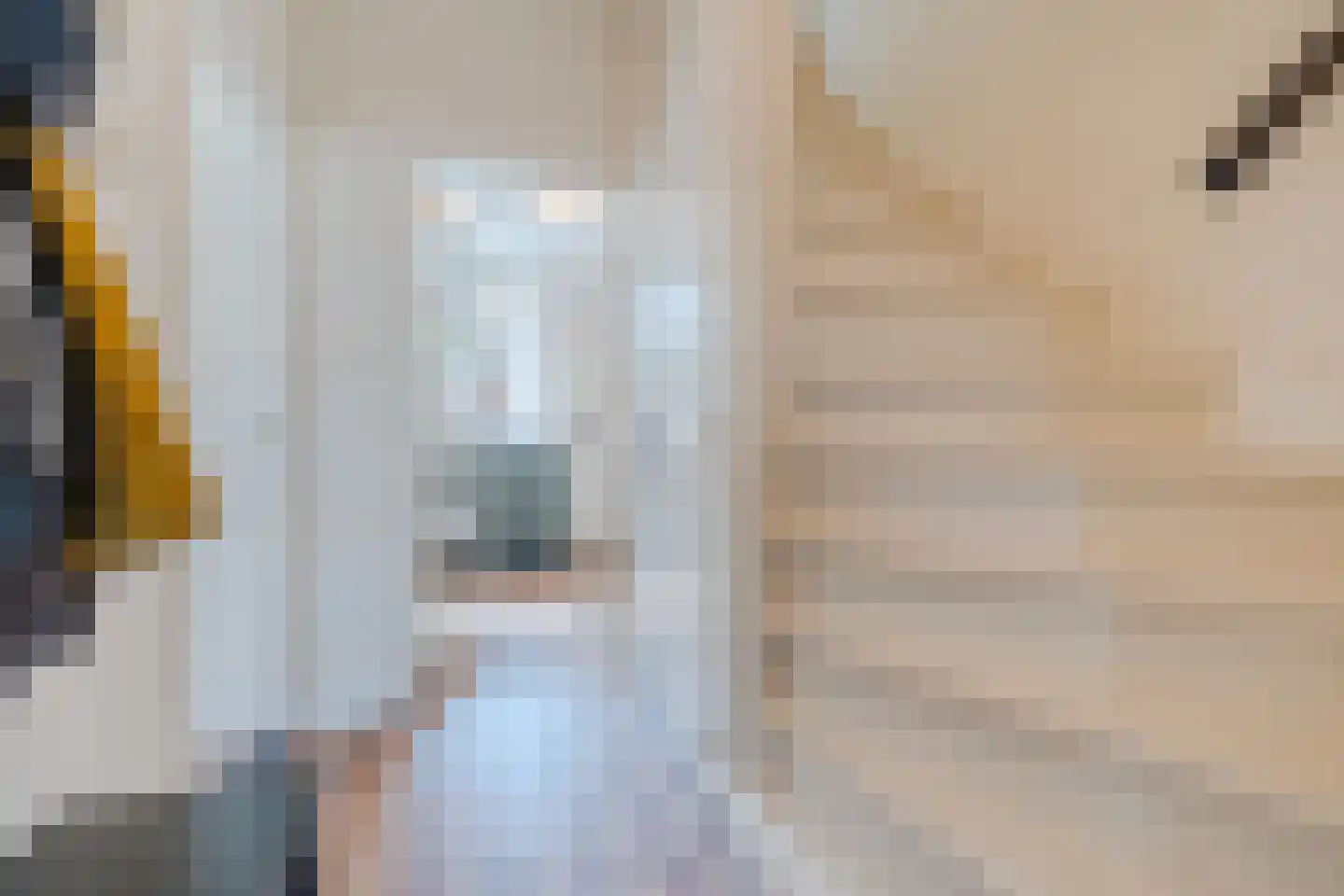 Lanceloetstraat 12 Eindhoven thumbnail 9