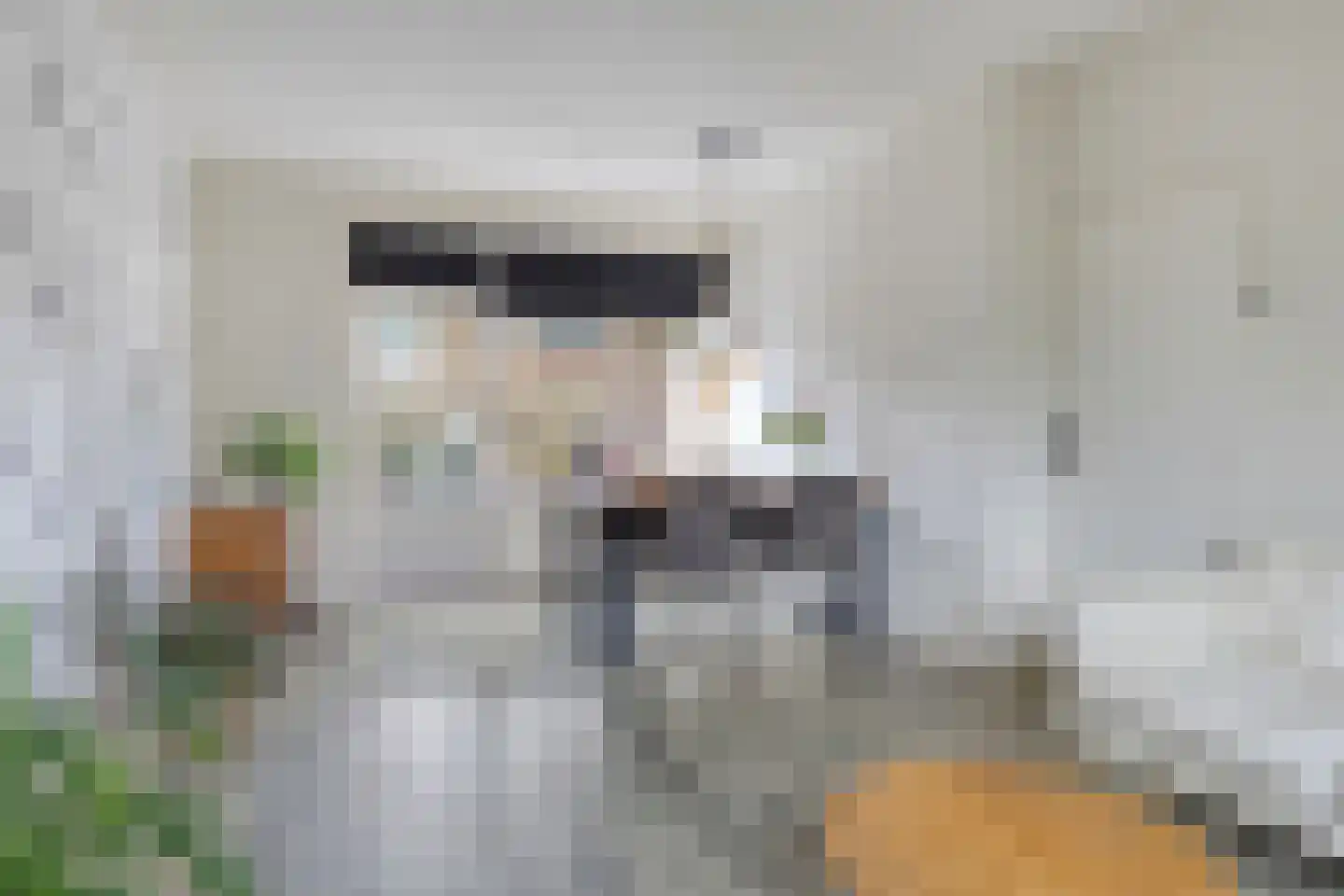 Lanceloetstraat 26 Eindhoven thumbnail 13