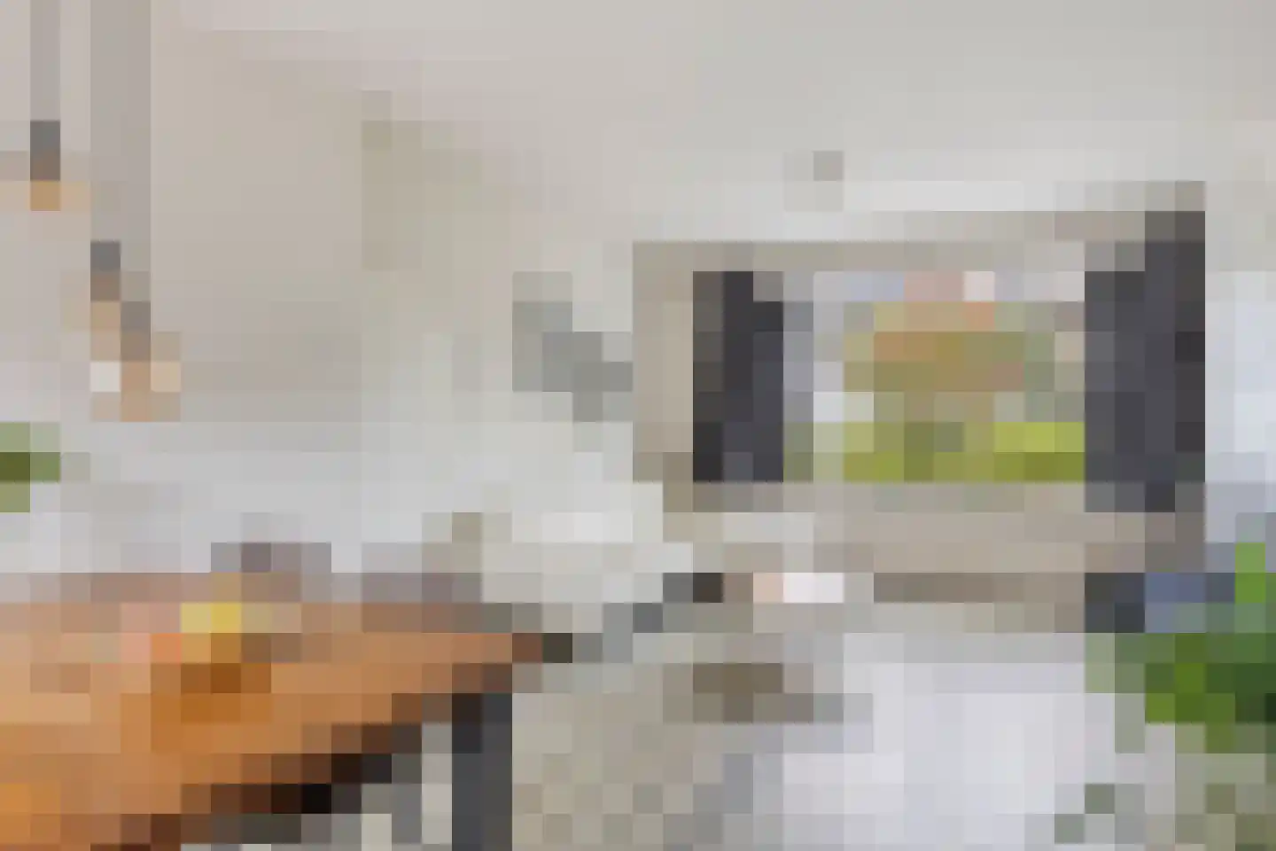 Lanceloetstraat 26 Eindhoven thumbnail 15