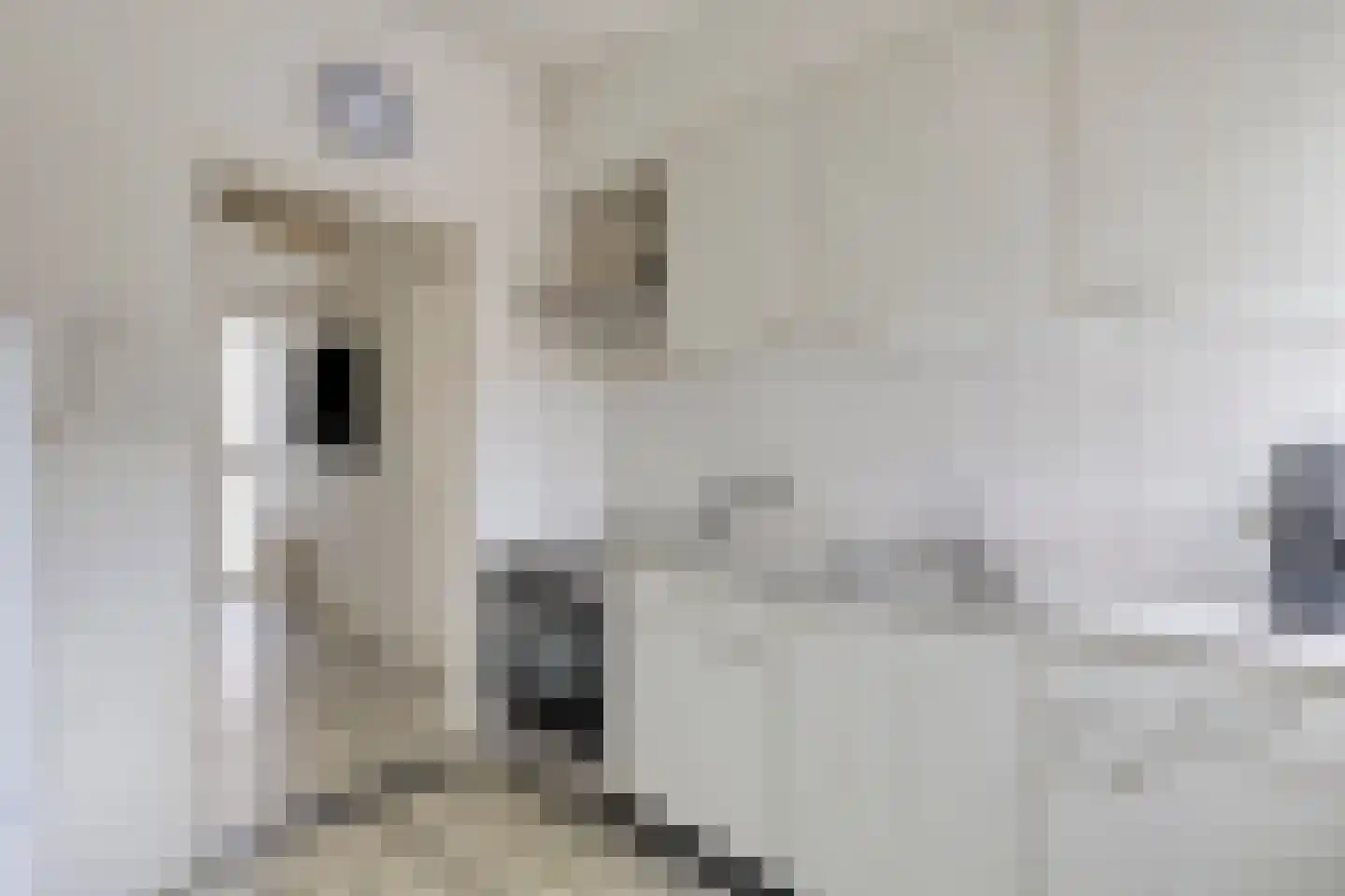 Lanceloetstraat 26 Eindhoven thumbnail 16
