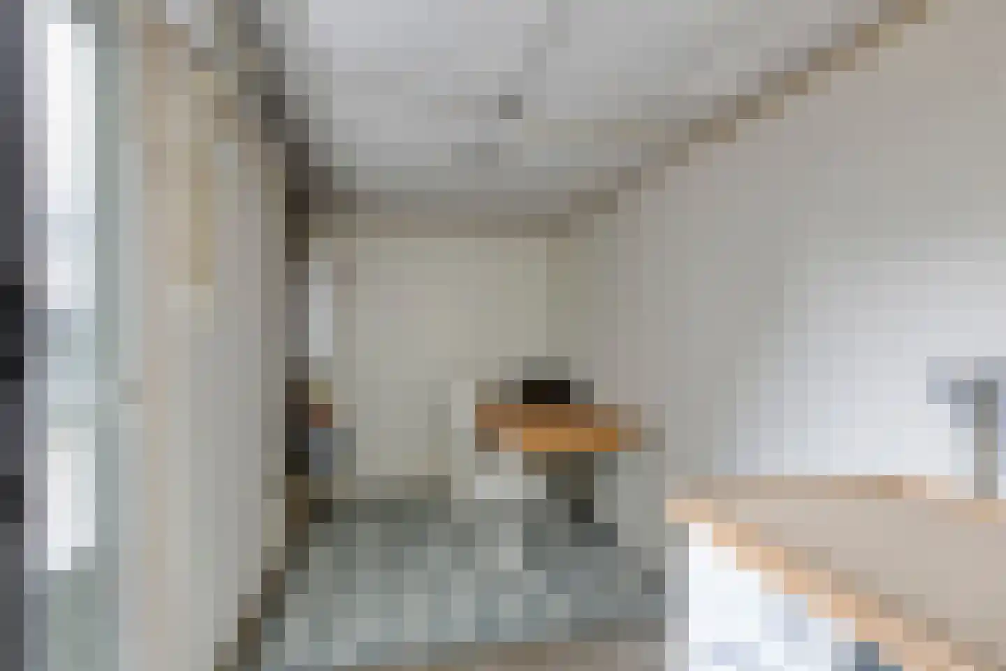 Lanceloetstraat 26 Eindhoven thumbnail 17