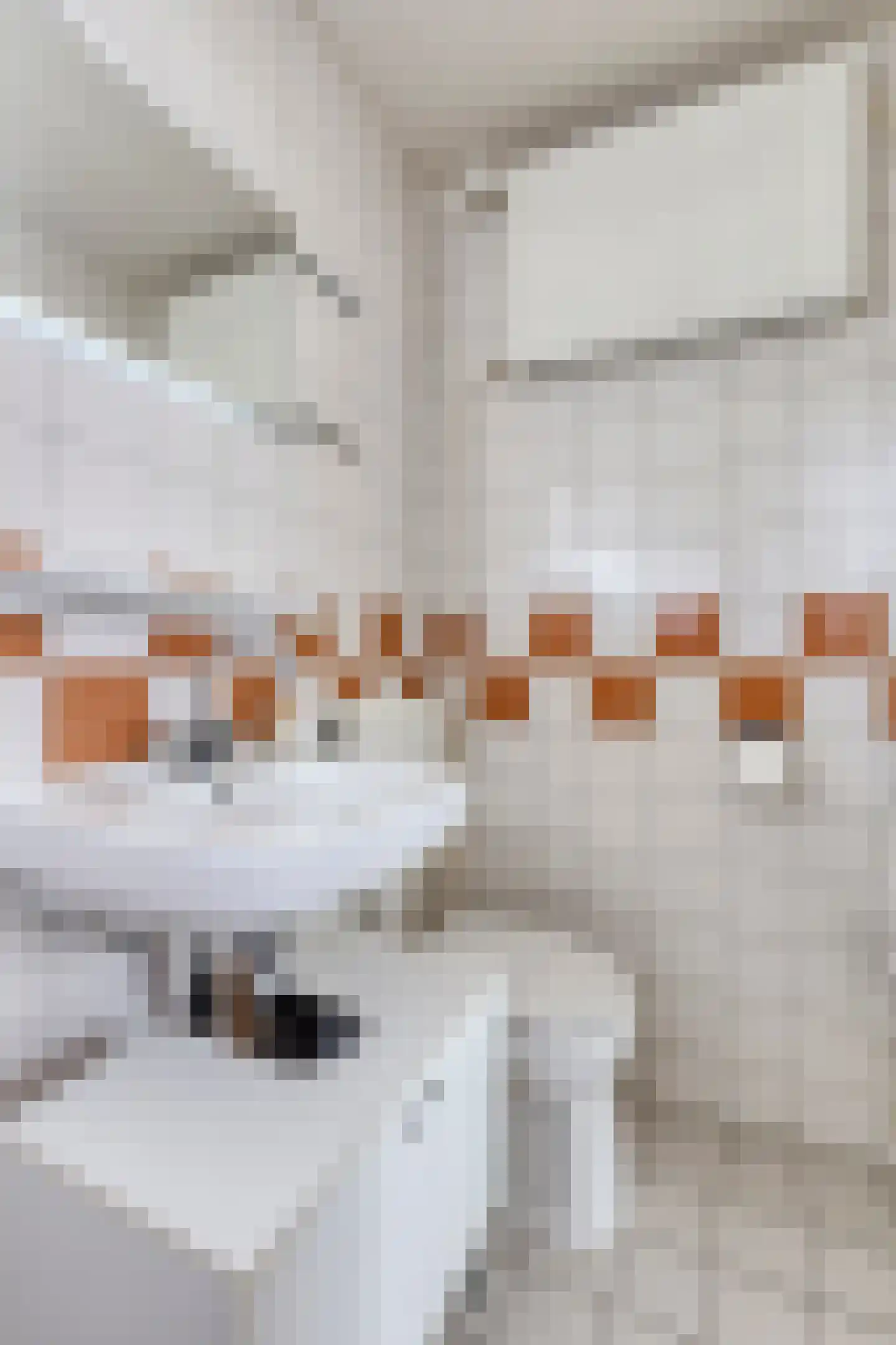 Lanceloetstraat 26 Eindhoven thumbnail 25