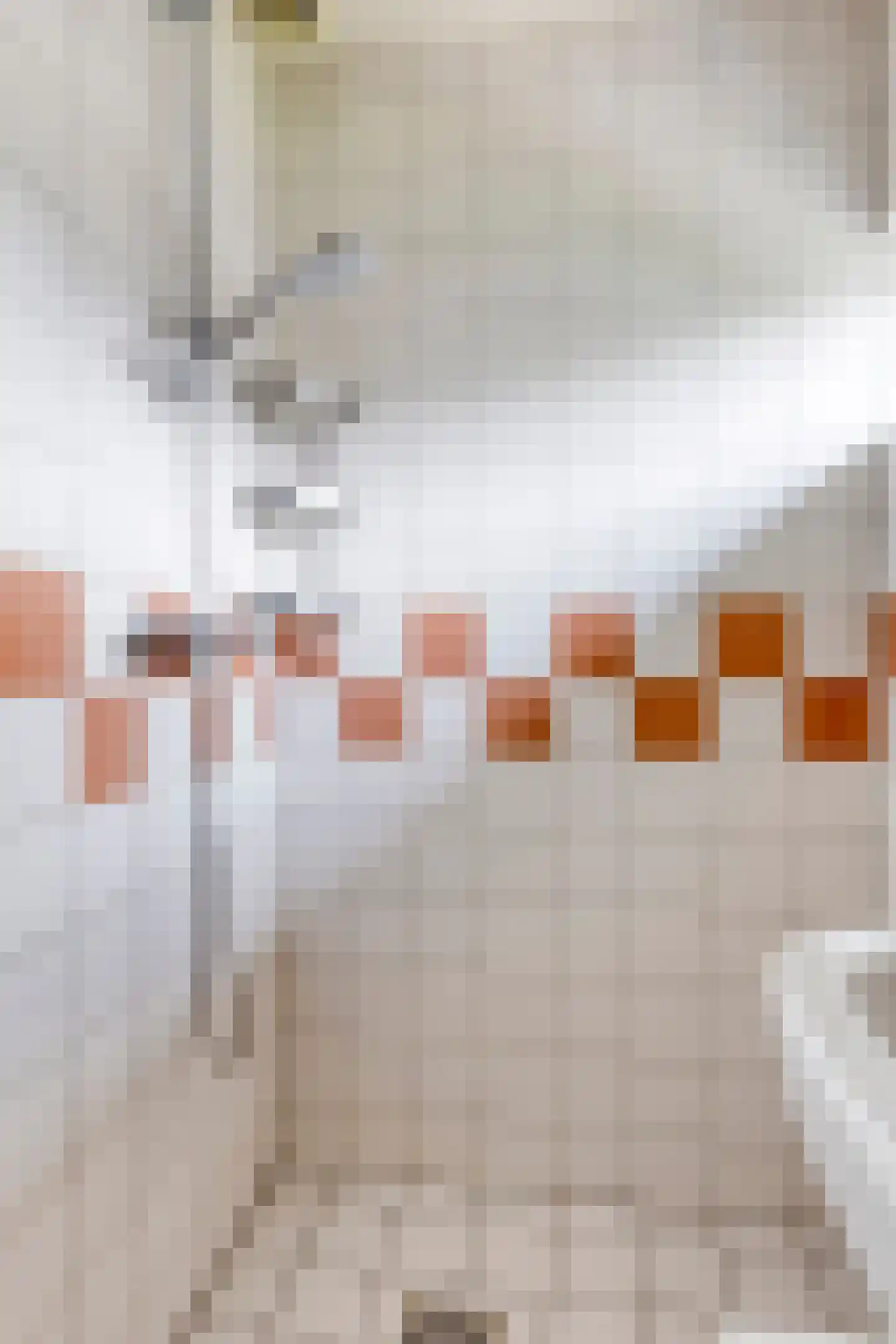 Lanceloetstraat 26 Eindhoven thumbnail 26