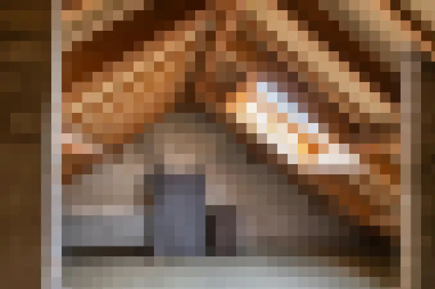 Lanceloetstraat 26 Eindhoven thumbnail 28