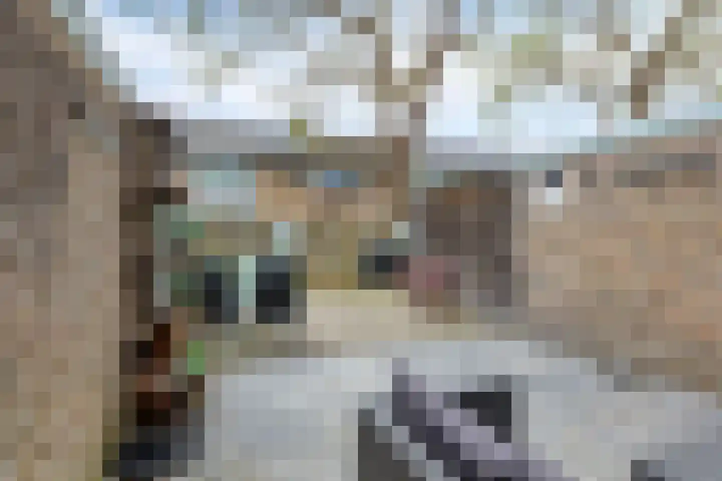 Lanceloetstraat 26 Eindhoven thumbnail 29