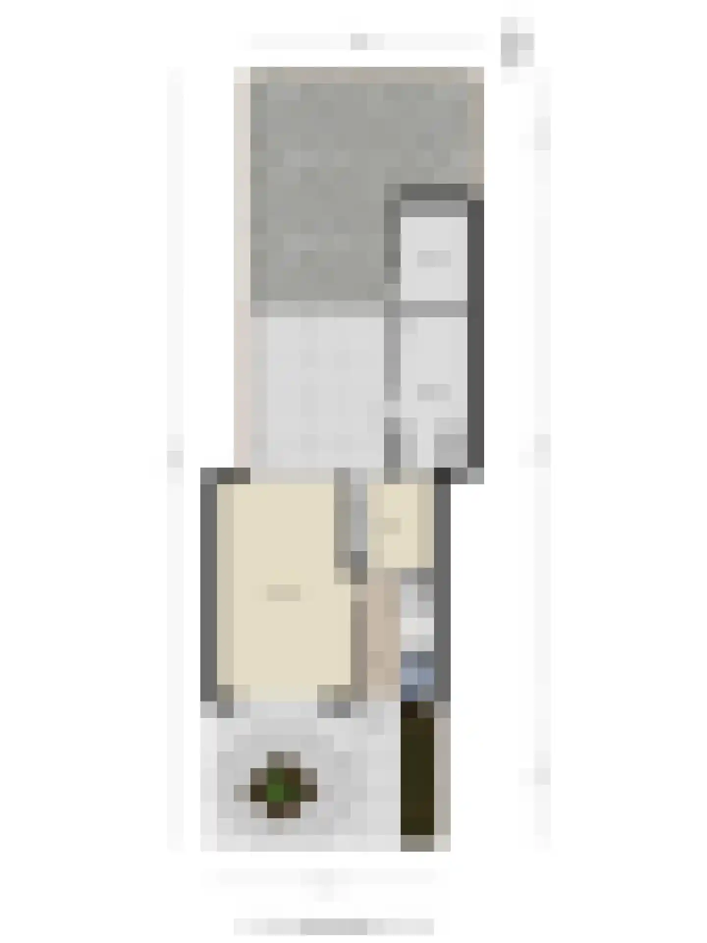 Lanceloetstraat 26 Eindhoven thumbnail 40