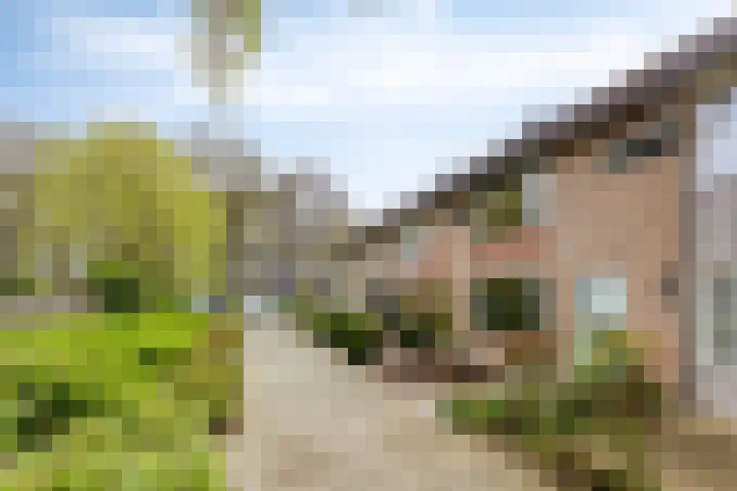Lanceloetstraat 26 Eindhoven thumbnail 7