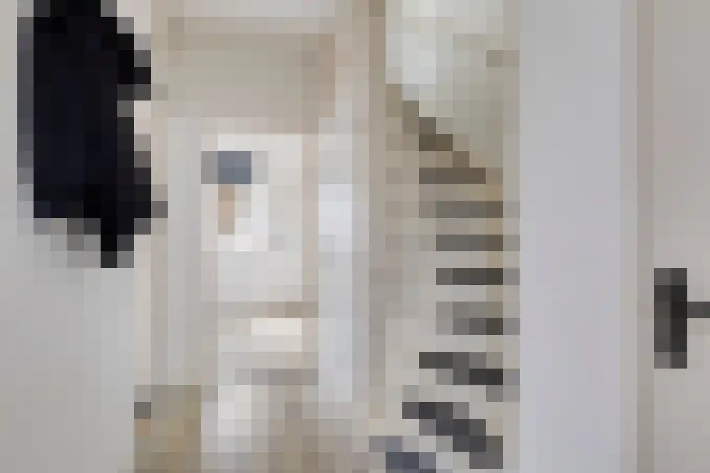 Lanceloetstraat 26 Eindhoven thumbnail 8