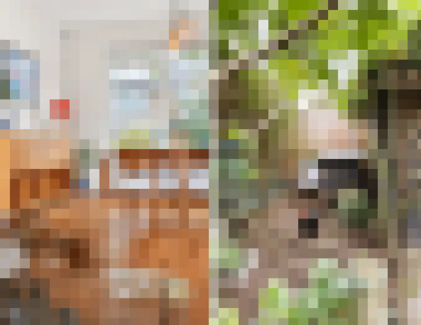 Lanceloetstraat 48 Eindhoven thumbnail 14