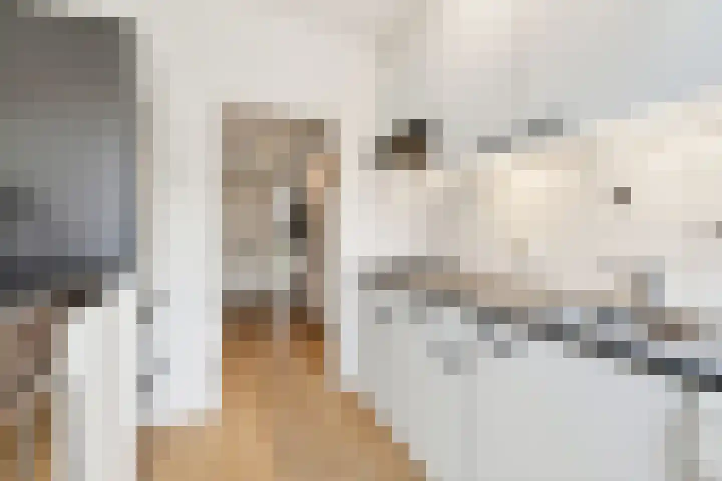 Lanceloetstraat 48 Eindhoven thumbnail 20