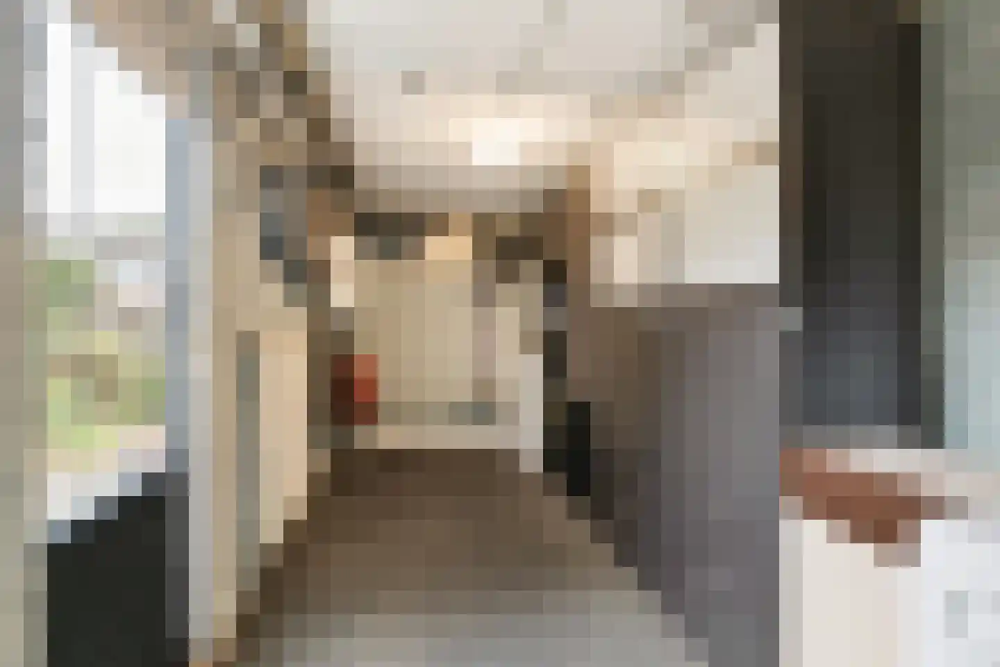 Lanceloetstraat 48 Eindhoven thumbnail 21