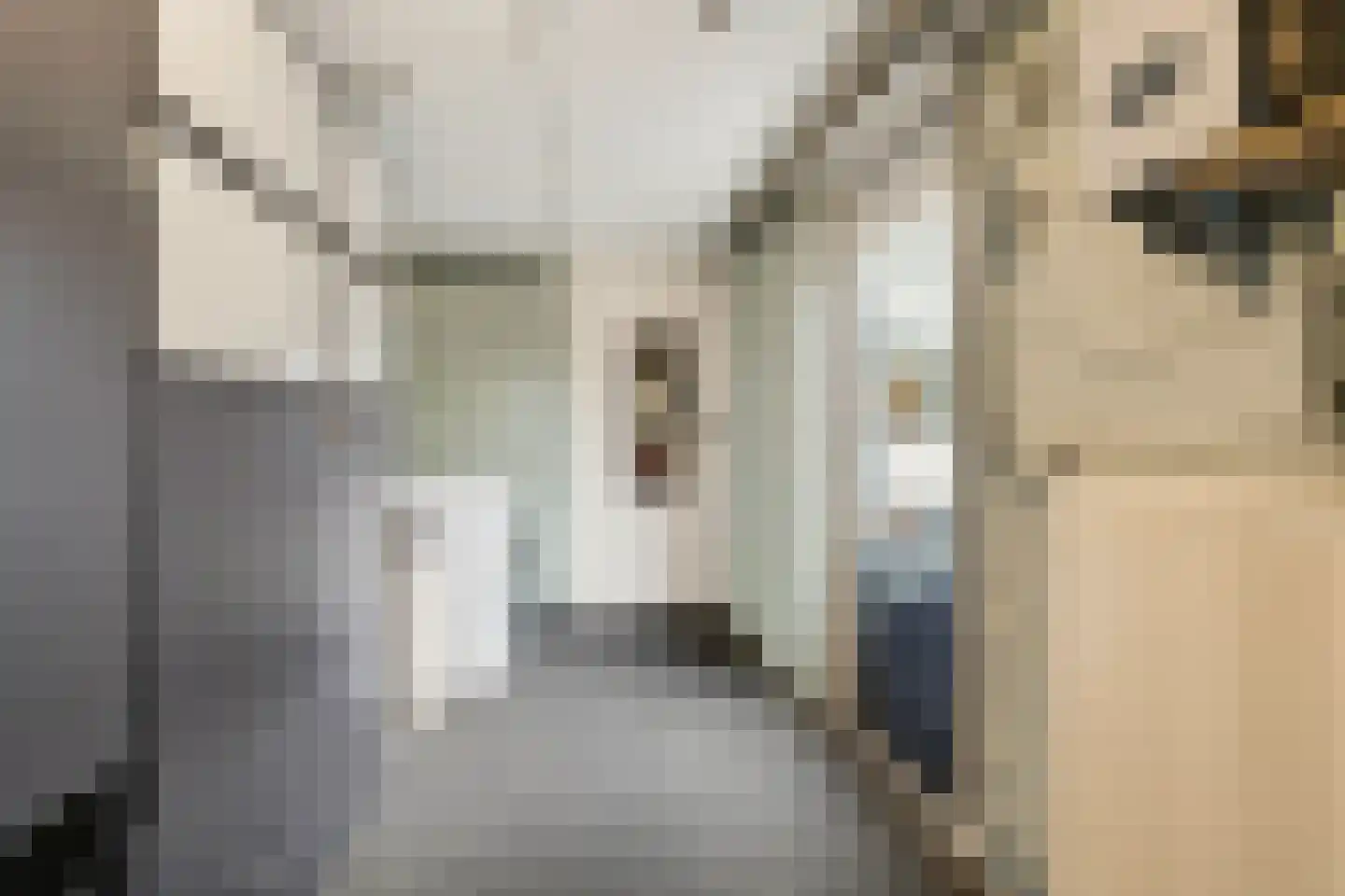 Lanceloetstraat 48 Eindhoven thumbnail 22