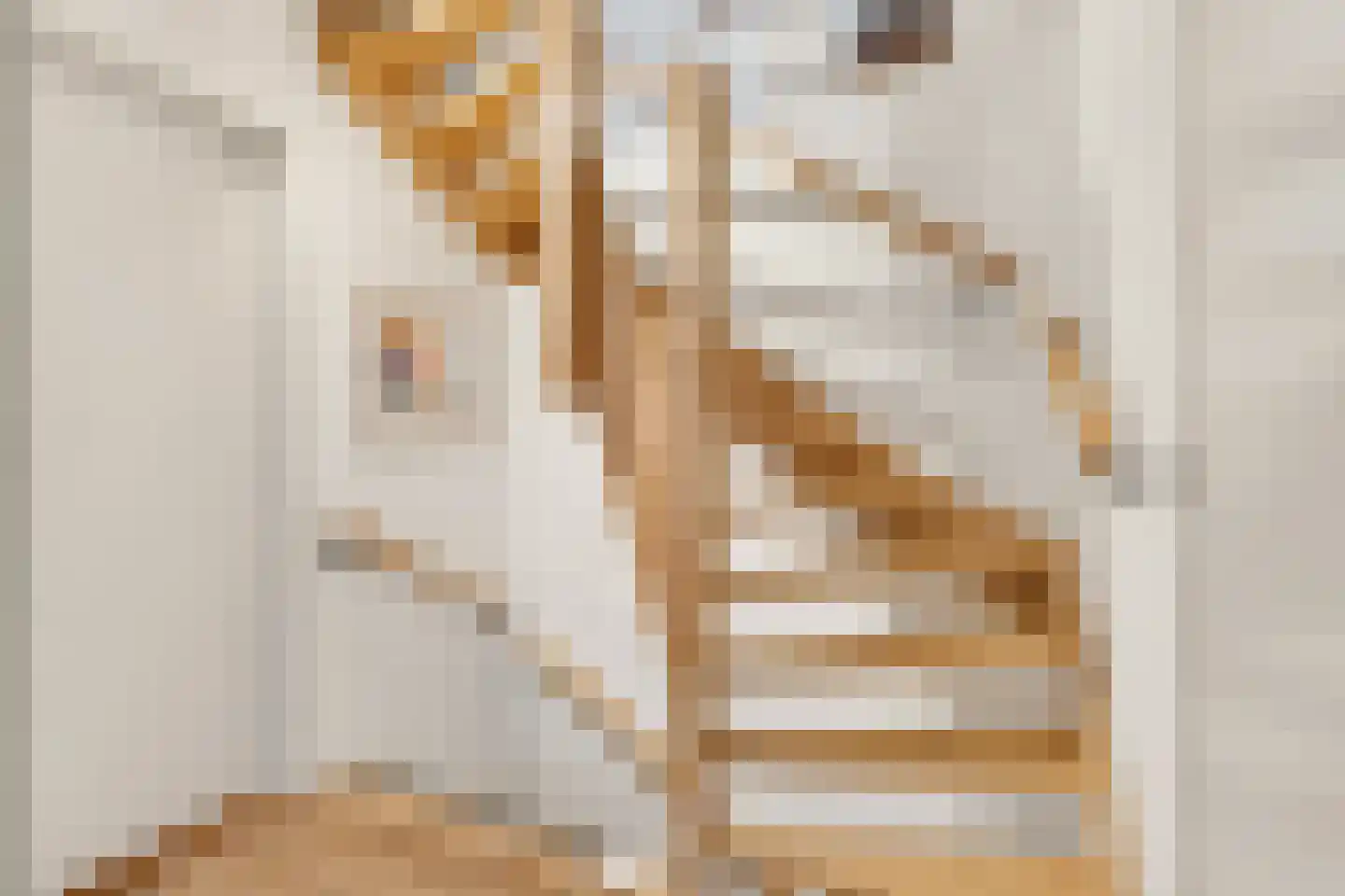 Lanceloetstraat 48 Eindhoven thumbnail 23