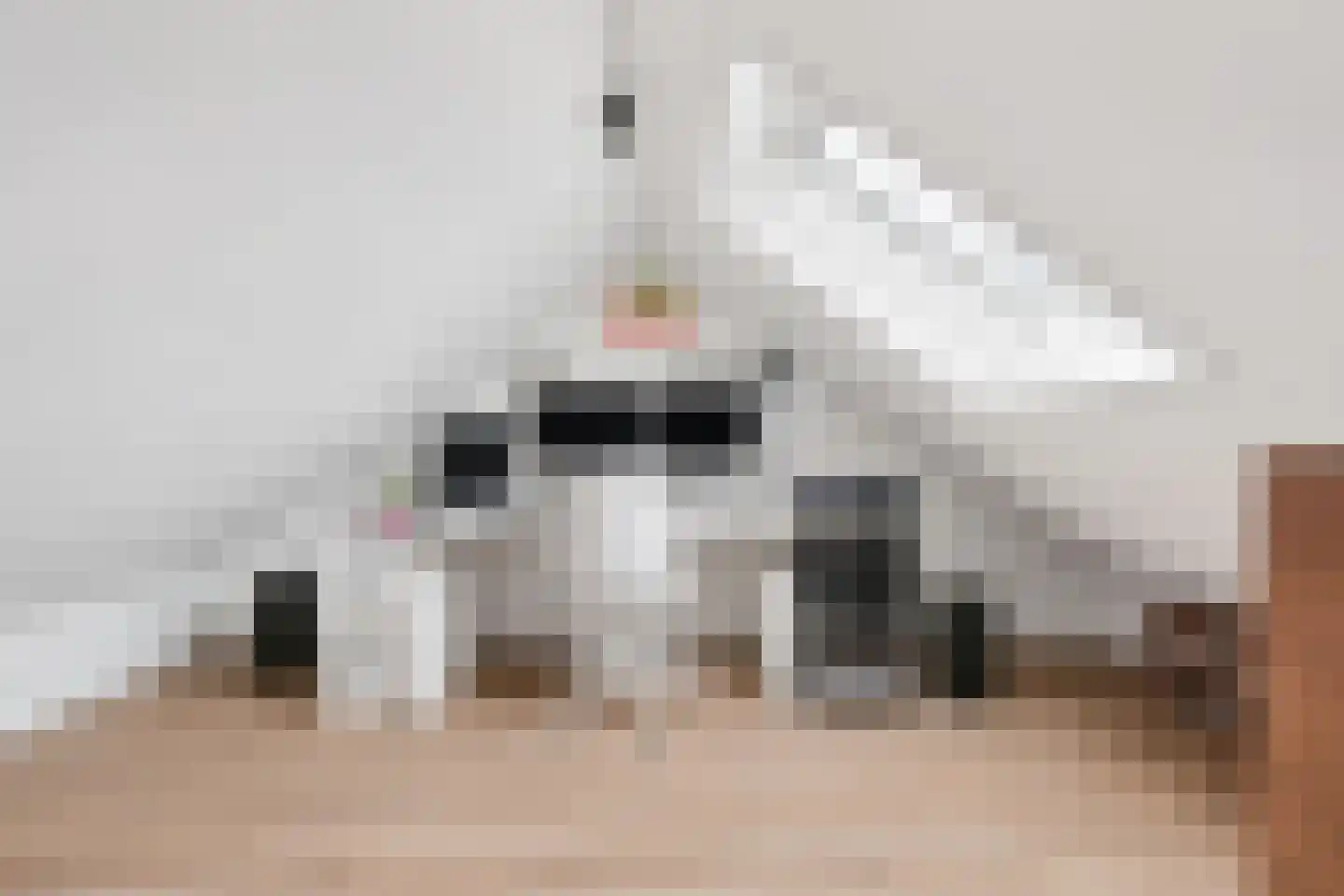Lanceloetstraat 48 Eindhoven thumbnail 4