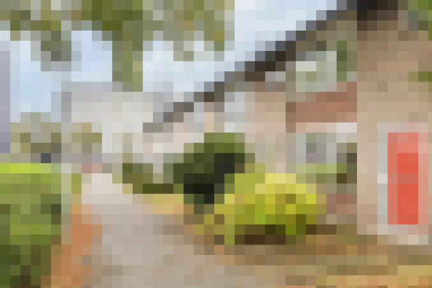 Lanceloetstraat 48 Eindhoven thumbnail 7