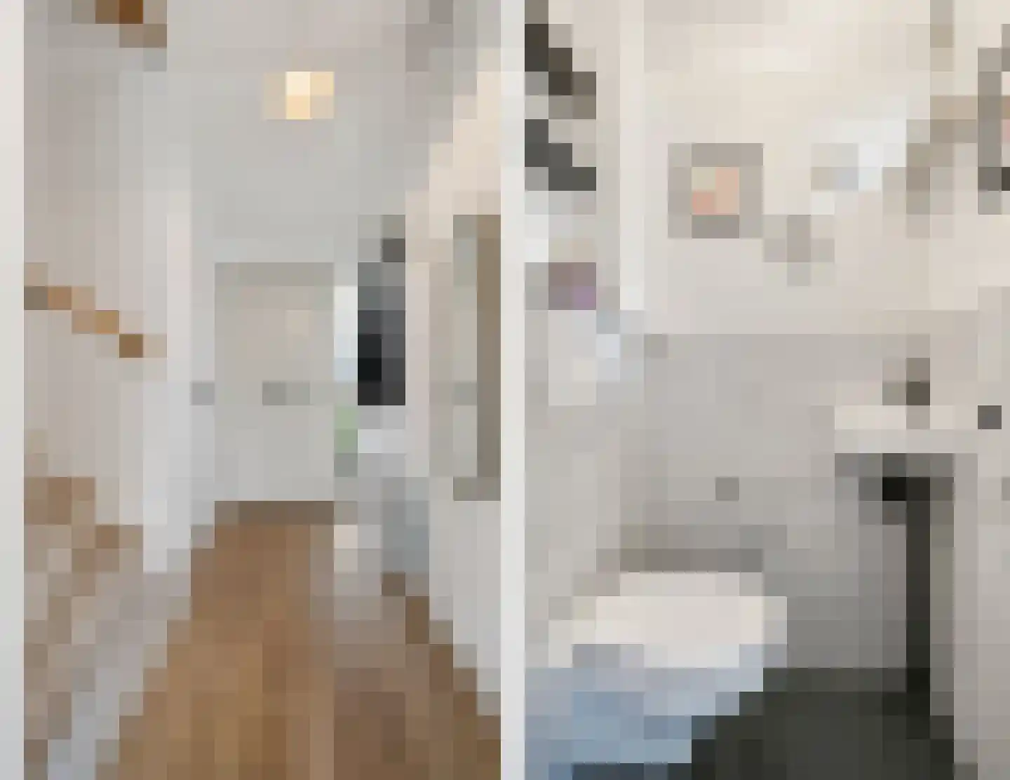 Lanceloetstraat 48 Eindhoven thumbnail 8