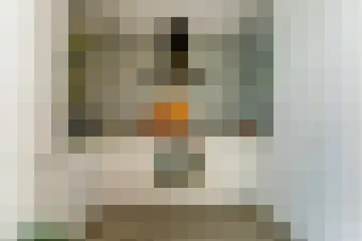 Lanceloetstraat 6 Eindhoven thumbnail 10