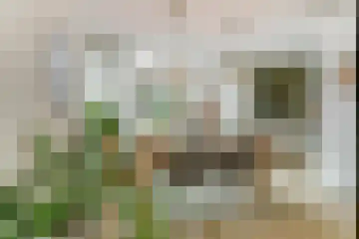 Lanceloetstraat 6 Eindhoven thumbnail 14