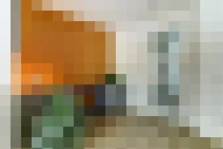 Lanceloetstraat 6 Eindhoven thumbnail 18