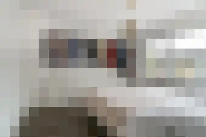 Lanceloetstraat 6 Eindhoven thumbnail 23