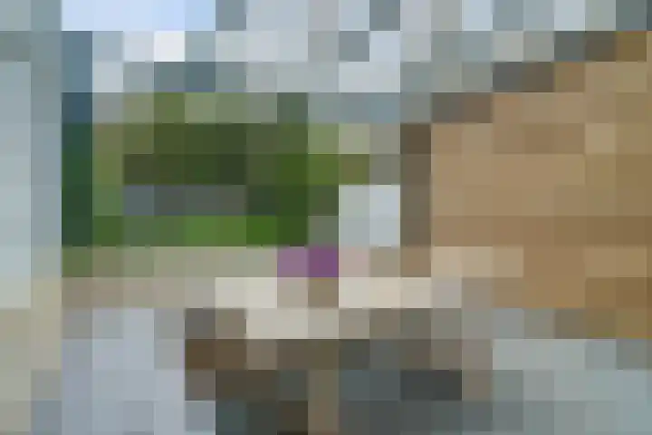 Lanceloetstraat 6 Eindhoven thumbnail 31