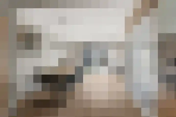 Lanceloetstraat 6 Eindhoven thumbnail 37