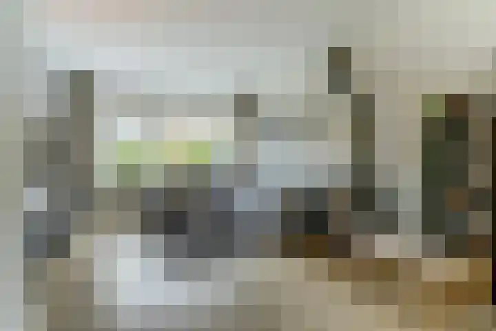 Lanceloetstraat 6 Eindhoven thumbnail 5