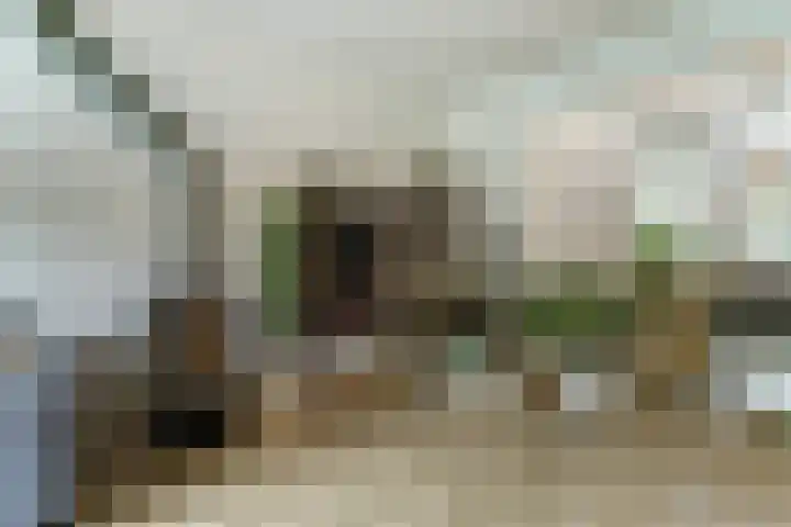 Lanceloetstraat 6 Eindhoven thumbnail 9