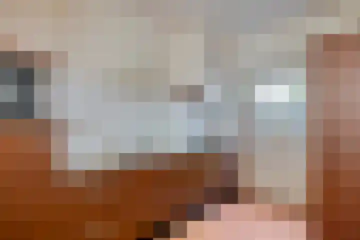 Lancelotpad 22 Amersfoort thumbnail 10