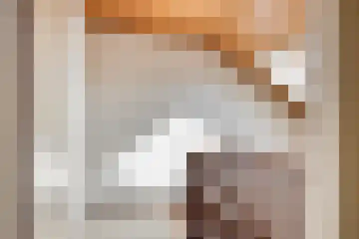Lancelotpad 22 Amersfoort thumbnail 13