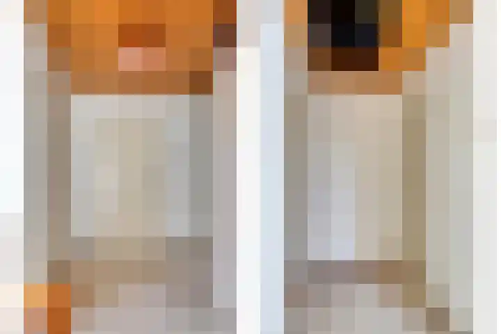 Lancelotpad 22 Amersfoort thumbnail 14