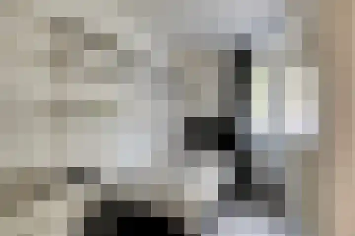 Lancelotpad 22 Amersfoort thumbnail 19