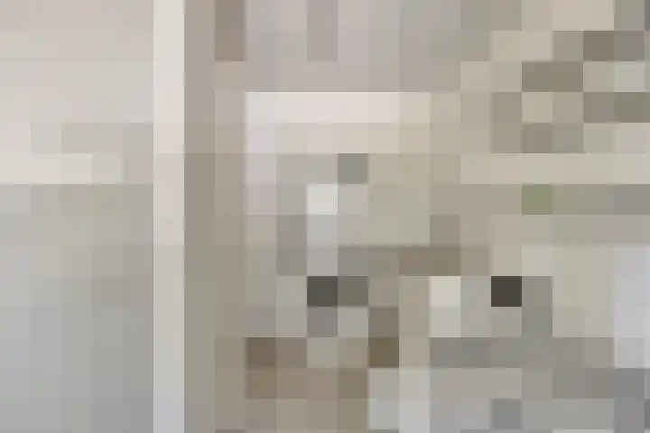 Lancelotpad 22 Amersfoort thumbnail 20
