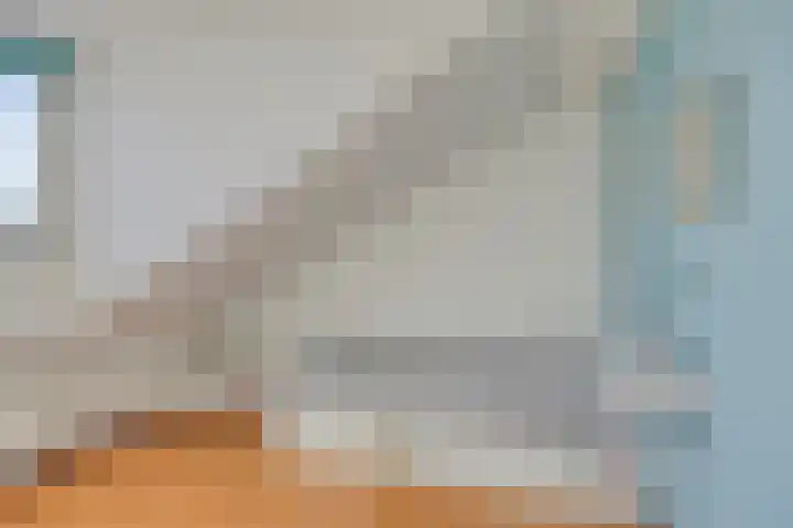Lancelotpad 22 Amersfoort thumbnail 21