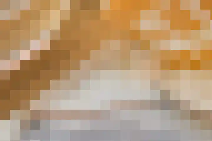 Lancelotpad 22 Amersfoort thumbnail 23