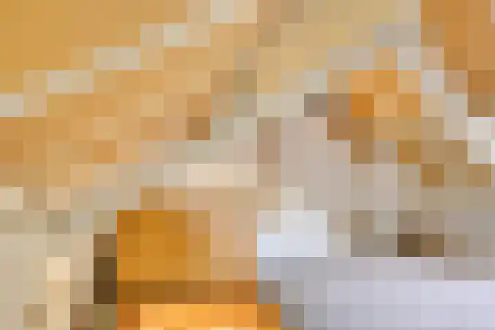 Lancelotpad 22 Amersfoort thumbnail 24