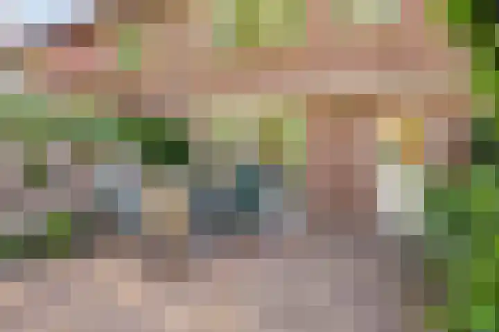 Lancelotpad 22 Amersfoort thumbnail 26